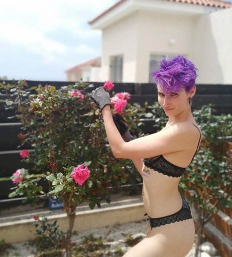 Image 7458671 from Eva Baumgartner