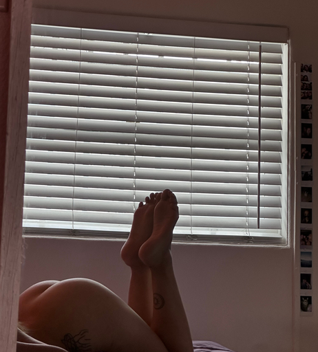 Image 7422391 from Charlottethestallion