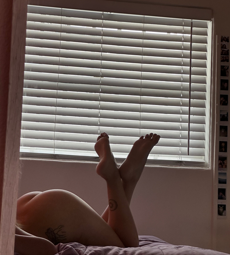 Image 7422395 from Charlottethestallion