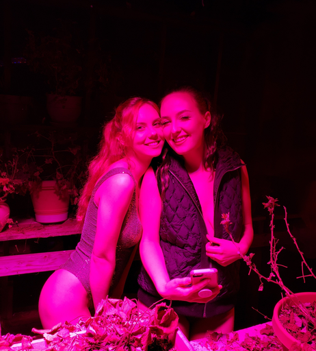 Image 7404220 from kaylacoyote