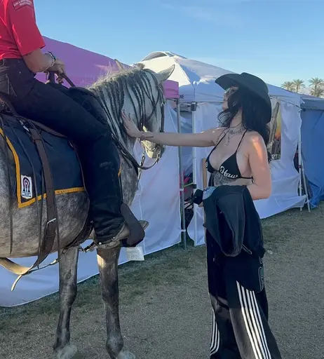 Image 7595938 from WWE&#039;s Paige / Saraya Bevis
