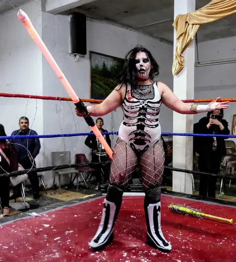 Image 7599131 from Women of Professional Wrestling