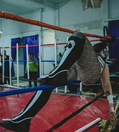Image 7599129 from Women of Professional Wrestling