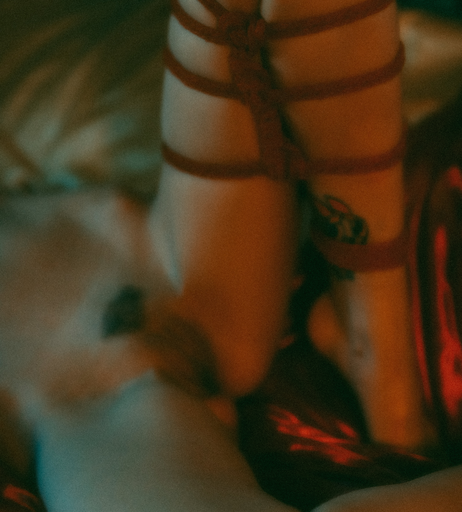 Image 7578742 from Anna Lisa Wagner