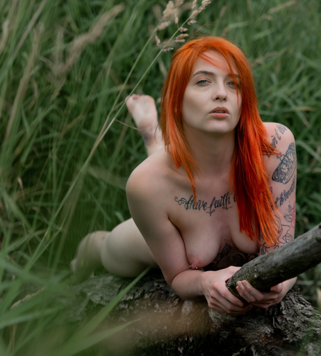 Image 752509 from Vicky Richter
