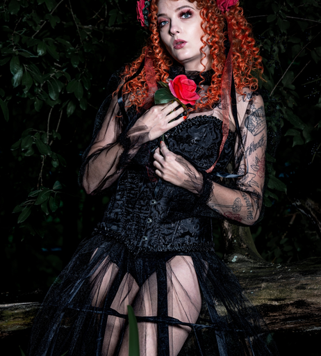 Image 752636 from Vicky Richter