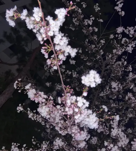Image 7502792 from rh_ab / iloveuyo 유요