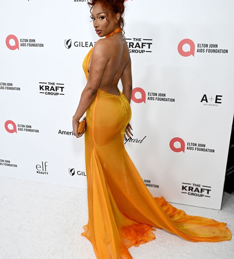 Image 7696492 from Megan thee stallion
