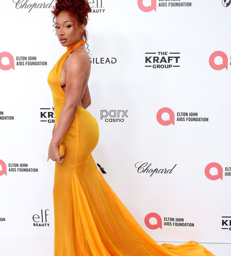 Image 7696491 from Megan thee stallion