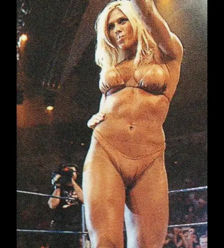 Image 7684727 from WWE Torrie Wilson
