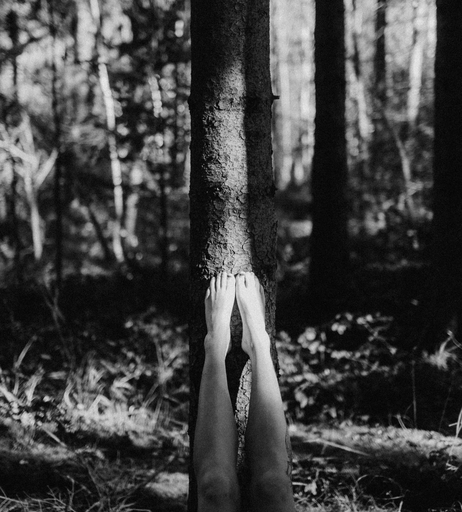 Image 7679508 from RicaChicka