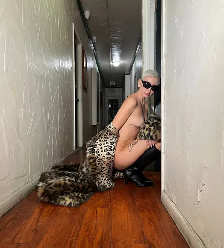 Image 7617538 from Sarah Temperilli sarahtemp_