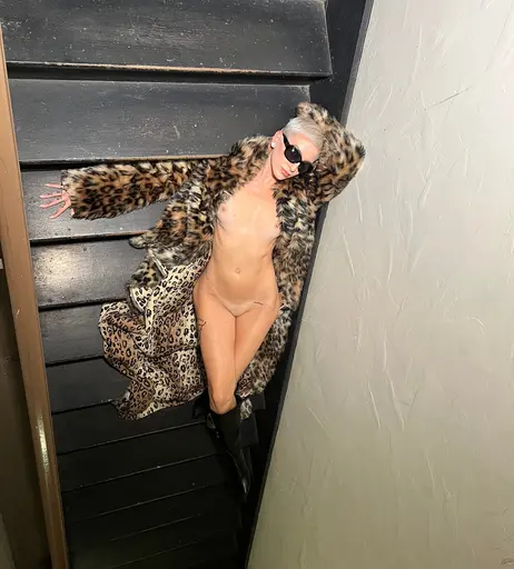 Image 7617533 from Sarah Temperilli sarahtemp_