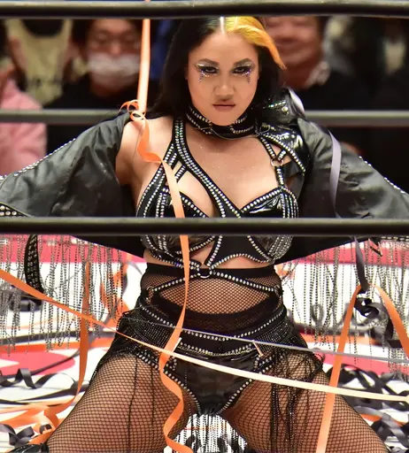 Image 7604081 from Women of Professional Wrestling
