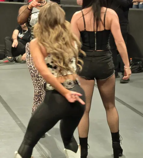 Image 7604386 from Women of Professional Wrestling