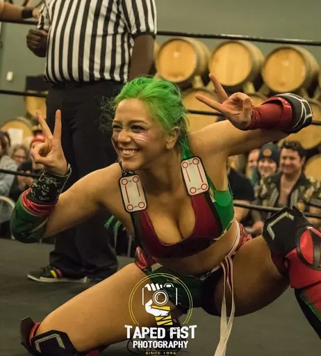 Image 7604212 from Women of Professional Wrestling