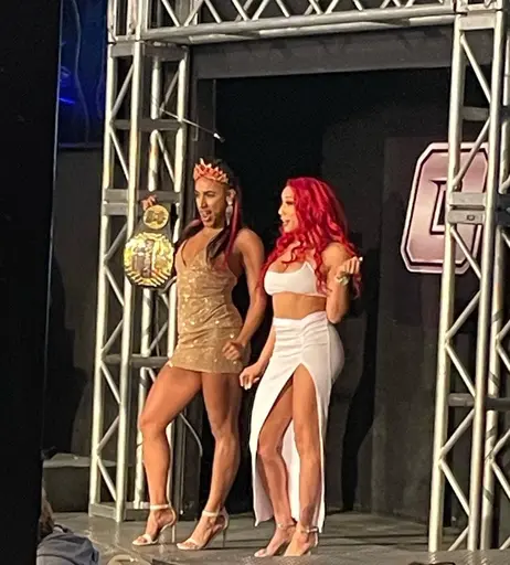 Image 7601319 from Women of Professional Wrestling