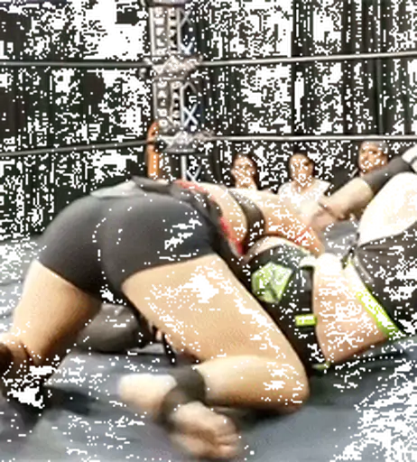 Image 7603190 from Women of Professional Wrestling