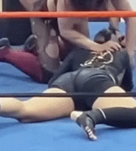 Image 7603186 from Women of Professional Wrestling