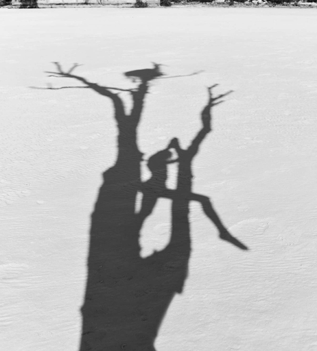 Image 7786516 from Juliane Seyfarth