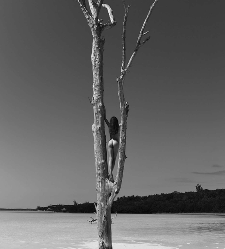 Image 7786514 from Juliane Seyfarth