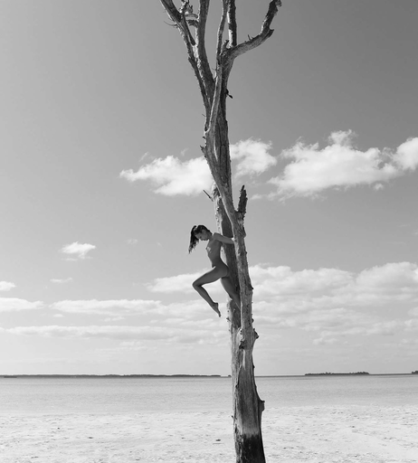 Image 7786517 from Juliane Seyfarth