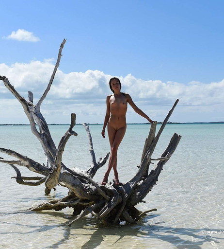 Image 7786504 from Juliane Seyfarth