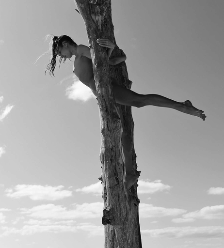 Image 7786520 from Juliane Seyfarth