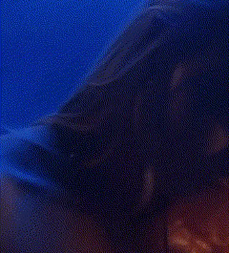 Image 7786407 from Jaime Pressly