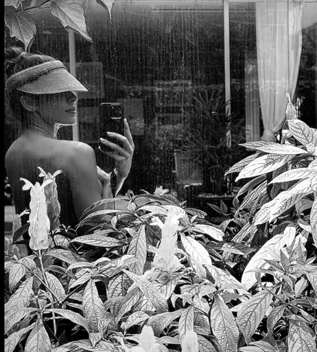 Image 7726362 from Grazi Massafera