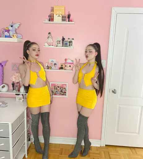 Image 7716605 from Pink Sweetener (Twins)