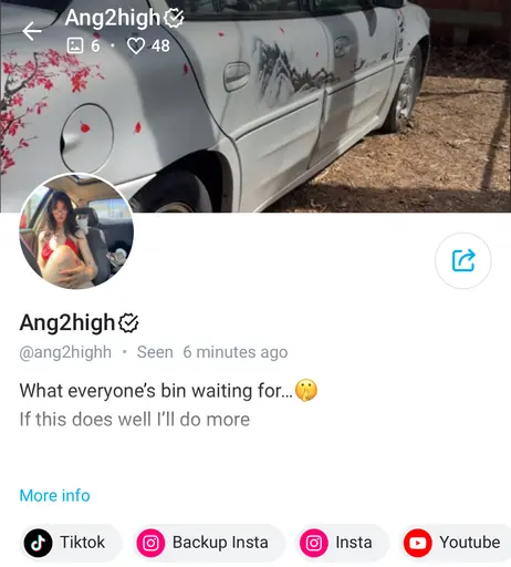 Image 7717029 from Ang2high