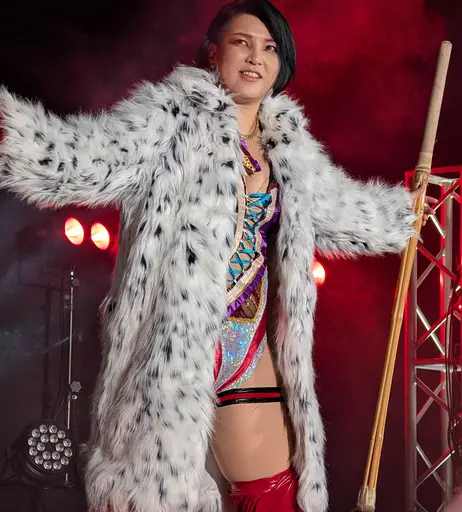 Image 7719810 from AEW Hikaru Shida