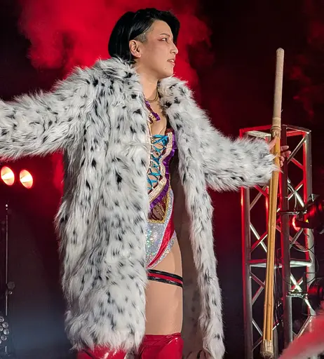 Image 7719807 from AEW Hikaru Shida