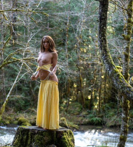 Image 7700661 from sunnyandskye