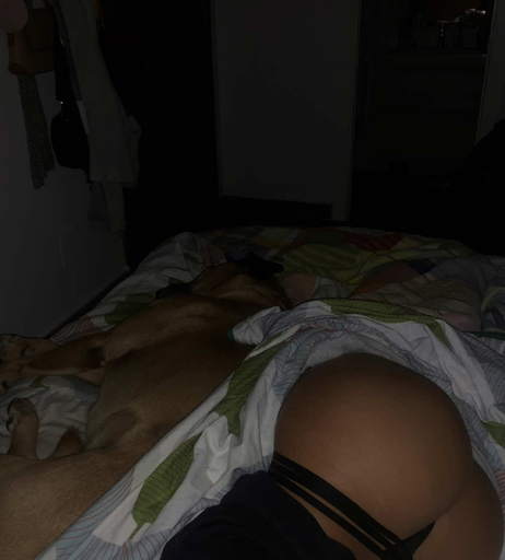 Image 7033161 from Lelaina Perez