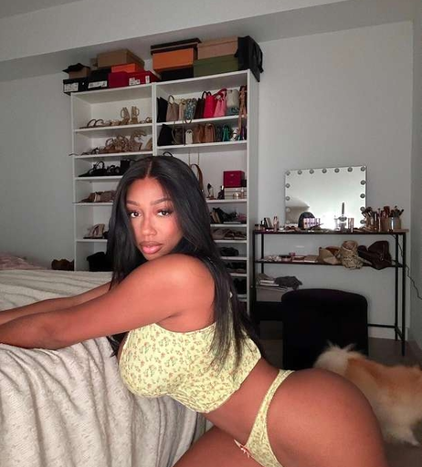 Image 7029721 from Vivi Panamera